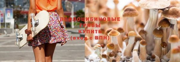 гашик Абаза