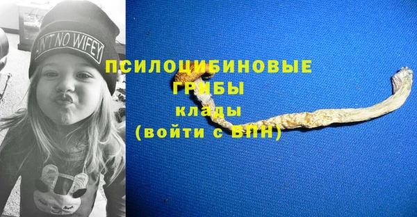 гашик Абаза