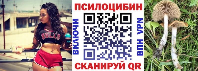 Псилоцибиновые грибы Magic Shrooms  Касли 