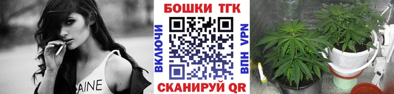 Бошки Шишки ГИДРОПОН  Касли 